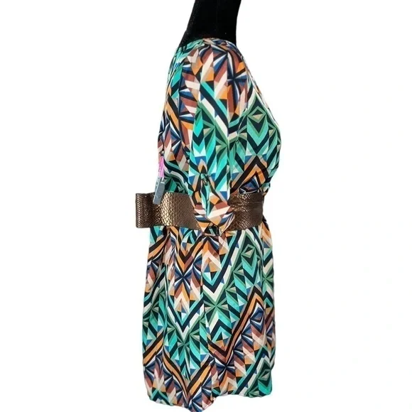 Moonlight Fall Jade Green, Black, Rustic Orange, Brown Chevron Print Dress  Sz S